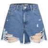 JACQUELINE DE YONG JDY By ONLY Damen High-Waist Jeans Shorts 5-Pockets Heavy Destroy Details Hell Blau Den.